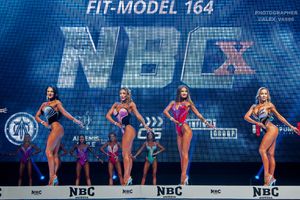 FIT-MODEL 164- 1 раунд